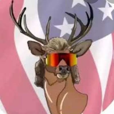 Profile Picture of Todd Heath (@ToddHea93431701) on Twitter
