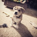 Profile Picture of Gary Smithers-Weitzel (@garyq4806) on Instagram