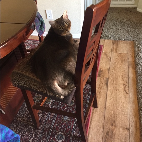 Profile Picture of Andy Fichthorn (@andyparker60) on Poshmark