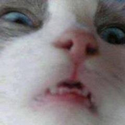 Profile Picture of Kevin Castrejon Pera (@UjmWsx) on Twitter