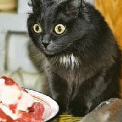 Profile Picture of Дмитрий Мартынов (@richardoyed2) on Twitter