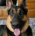 Profile Picture of David Shimmel (@david.shimmel.39) on Facebook