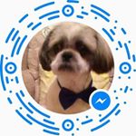 Peter Hebblethwaite - Instagram Profile Picture of Peter Hebblethwaite (@peterhebblethwaite) on Instagram