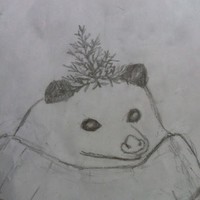 Profile Picture of Kee Wee (@kee-wee-18) on Quora