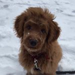 Profile Picture of John Cadwallader (@cadwalj) on Instagram