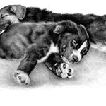 Toni De Vries Stadelaar - Instagram Profile Picture of Toni De Vries Stadelaar (@tonistadelaar) on Instagram