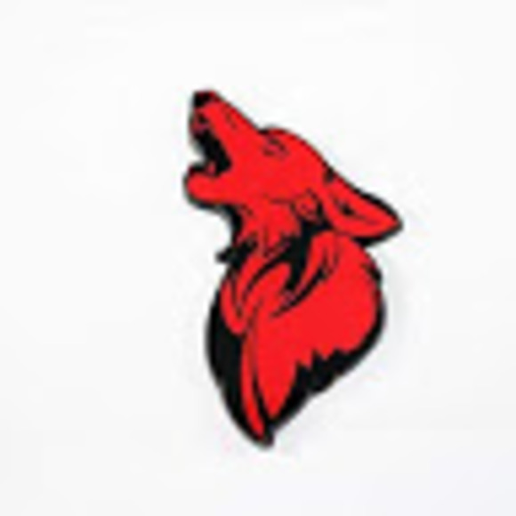 Profile Picture of Ballistic Coyote (@aj28952) on Poshmark