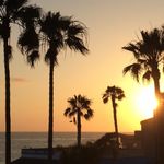 Profile Picture of Derek Roller (@derek.roller) on Instagram