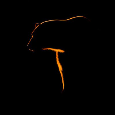 Niel Van Der Linde - Twitter Profile Picture of Niel Van Der Linde (@nielvdl) on Twitter