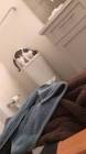 Profile Picture of   Amelia... (@i_wish_i_was_sue_heck) on Tiktok