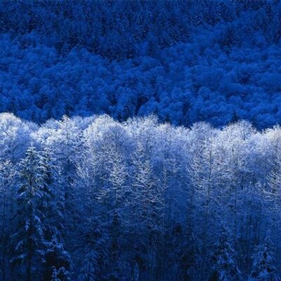 Profile Picture of Thomas Caulder (@ThomasCaulder) on Twitter