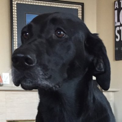 Profile Picture of Mike Shearon (@shearmp32) on Twitter