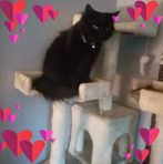 Profile Picture of Shelly Clements (shelly) (@shelly.clements.33) on Facebook