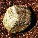 Profile Picture of Jason Songhurst (@spirozh) on Instagram