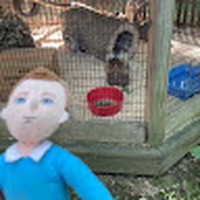 Profile Picture of Adam Ozga (@adam-ozga-2) on Quora