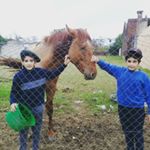 Profile Picture of tomas (@tomas__leal_) on Instagram