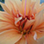 Profile Picture of Beverly Waters (@bevwaters2010) on Flickr