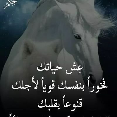 Profile Picture of Saba Amal Rayan (@Saba_Amal_Rayan) on Twitter