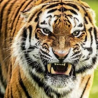 Profile Picture of Kevin Hicklin (@hicklin.kevin) on Instagram