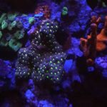 Profile Picture of Bob Jones (@bobjones7847) on Instagram