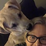 Profile Picture of Scott Pennock (@saltylowrider) on Instagram