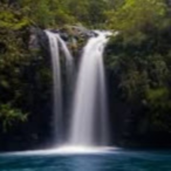 Profile Picture of Ruby Evans (@evansrubyrae1) on Poshmark