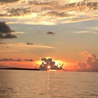 Profile Picture of James Schindler (@reptileorbit) on Pinterest