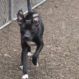 Profile Picture of Dave Meldrum (@daveymel07) on Twitter