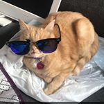 Profile Picture of Heather Stephens (@heatherrstevens) on Instagram