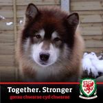 Profile Picture of Matthew Haywood (@matthew.haywood) on Instagram