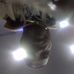 Profile Picture of Floyd Fields (@floyd.fields.756) on Facebook