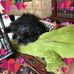 Profile Picture of Shirley Stagg (@shirley.stagg.77) on Facebook