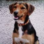 Profile Picture of Anthea Kilpatrick (@Anthea-Kilpatrick) on Facebook