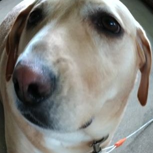 Profile Picture of Jon Litman (@Jon82768013) on Twitter