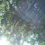 Profile Picture of Adrian Pennington (@at.pennington) on Instagram