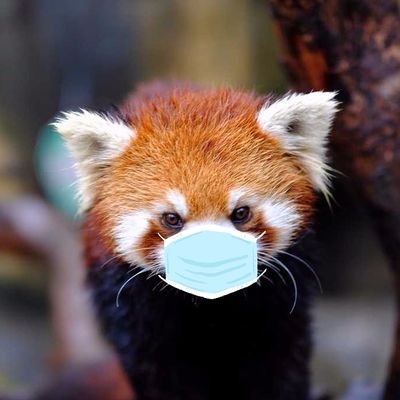 Profile Picture of Lyn (@TheeCorleONE) on Twitter