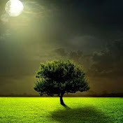 Profile Picture of Mehis (@mehis4342) on Youtube