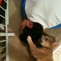 Profile Picture of Derrick Promislow (@derrick-promislow) on Quora