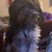 Profile Picture of Akeelah Dobbins (@akeelah.dobbins) on Facebook