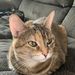 Profile Picture of Haley Coates (@haleycoates3) on Pinterest