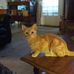 Profile Picture of Jacquelyne Cramer (@jacquelyne.cramer.3) on Facebook