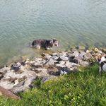 Profile Picture of Michaela Mischke (@mischkemichaela) on Instagram