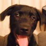 Profile Picture of Kevin Spagnolo (@kevin.spagnolo.3) on Facebook