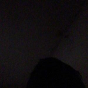 Profile Picture of Jonathan Galaviz Dim (@dim_galaviz) on Twitter