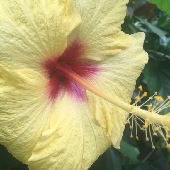 Profile Picture of Joni Lambert (@jlamb7685) on Poshmark