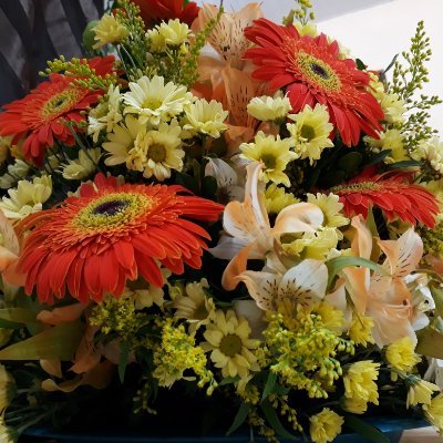 Profile Picture of Caio Andrade (@caioandrade229) on Twitter