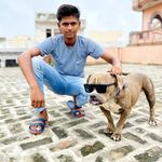 Profile Picture of chauhan_brothers_kennel001_ (@chauhan_brothers_kennel001) on Instagram