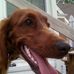 Profile Picture of Bob Garber (@bob.garber.58) on Facebook