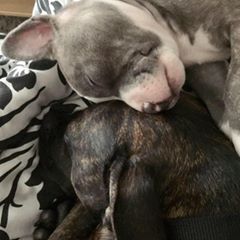 Profile Picture of Mark Currie (@@markcurrie1) on Tiktok