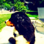 Profile Picture of Tom Mckay (@tmckayia) on Instagram